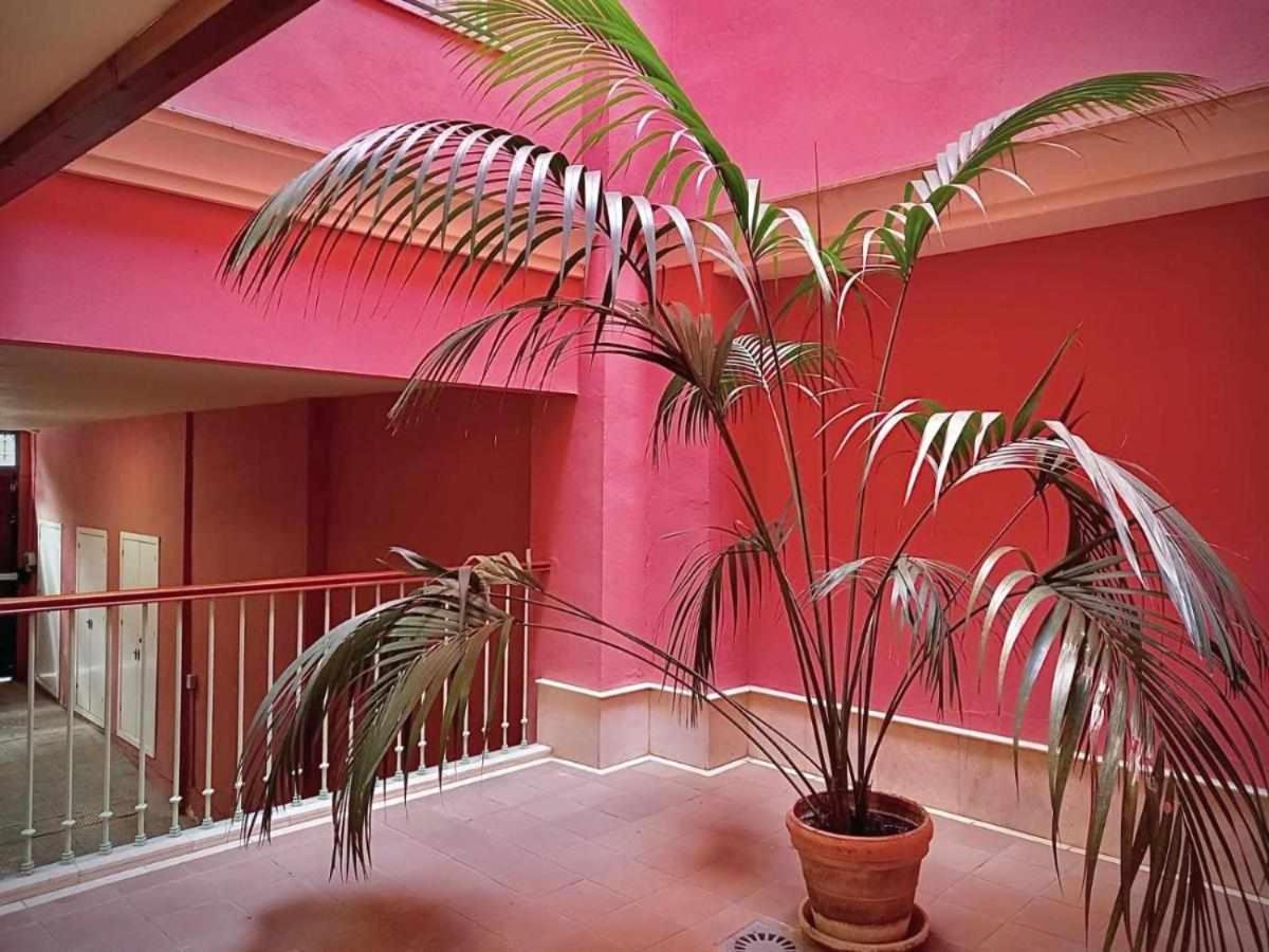 Apartamento Sauceda 7 Sevilla Dış mekan fotoğraf